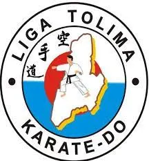 3 Departamental del Tolima logo